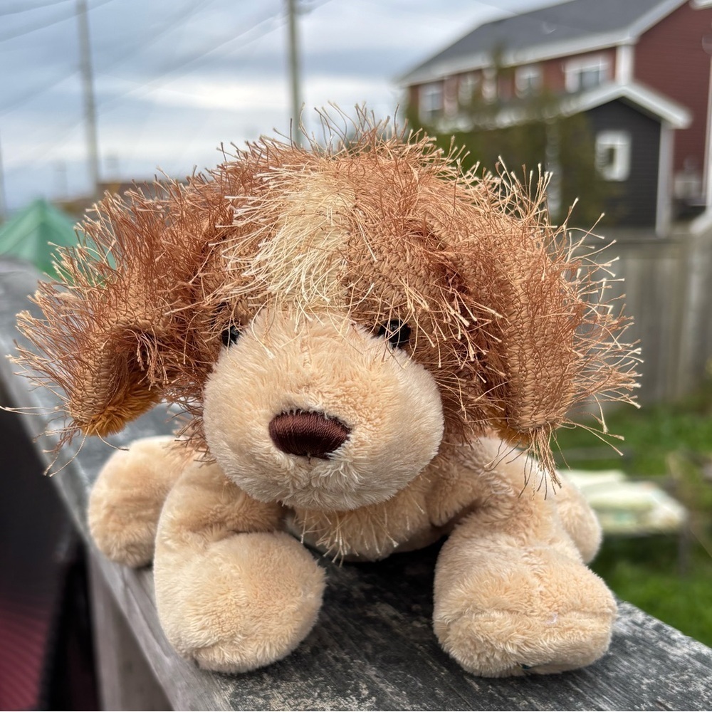 Ganz Webkinz Cocker Spaniel Dog Plush Brown Shaggy Hair Without Codes Retired